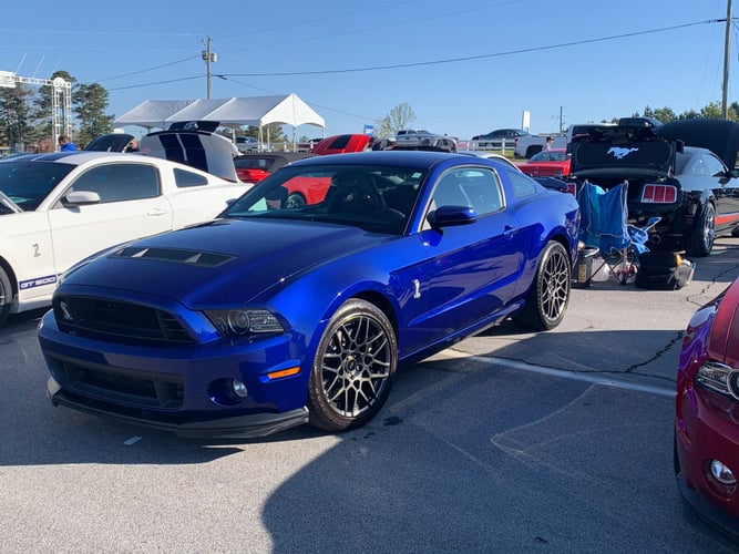 2013 Ford Shelby GT500