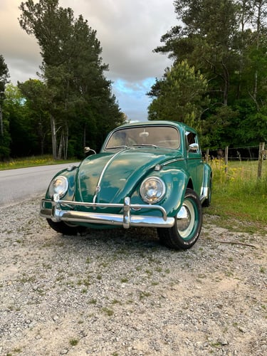 1960 VOLKSWAGEN Beetle