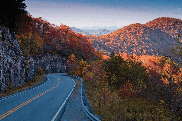 The Atlanta Motoring Festival "Tour d'Elegance" 