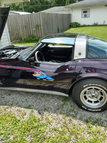 Babe Vette