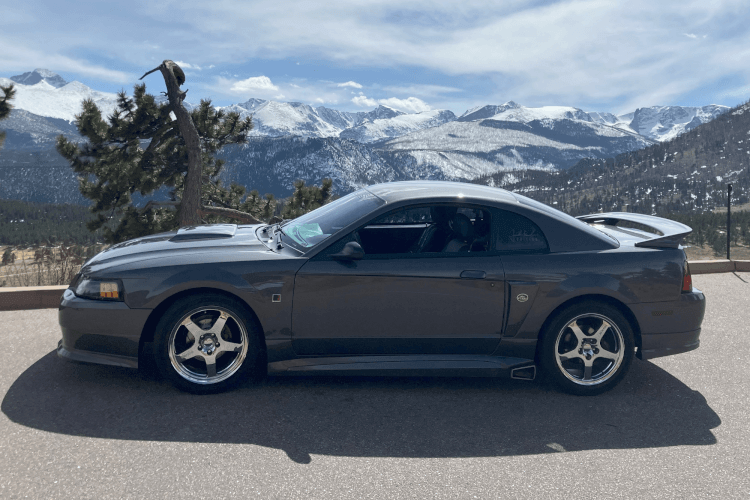 Grey Ghost