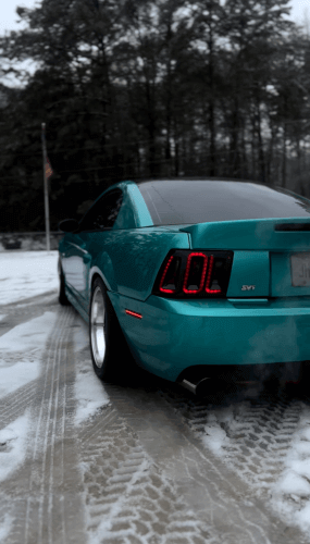 2000 Ford Cobra photo 2