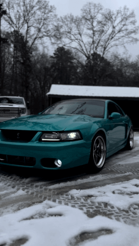 2000 Ford Cobra