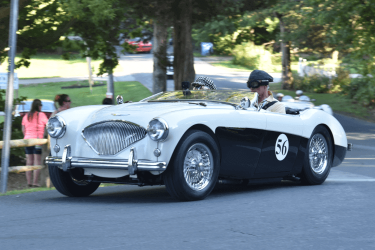 1956 Austin-Healey 100M thumbnail 9