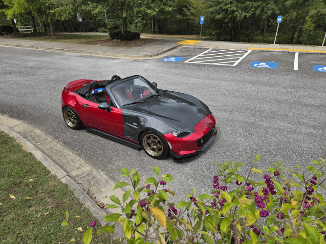 Red Devil photo 5