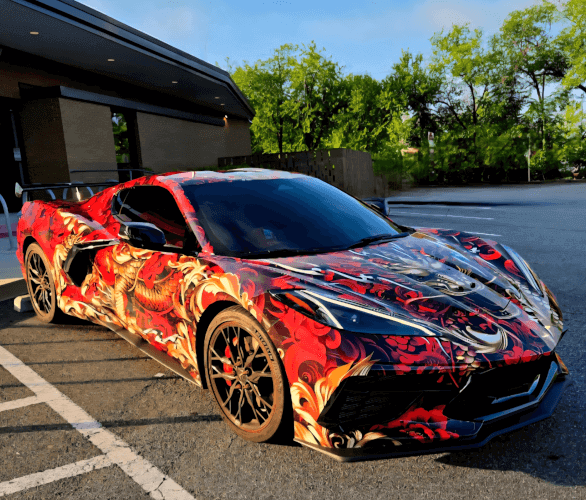 DRAGON.VETTE photo 2