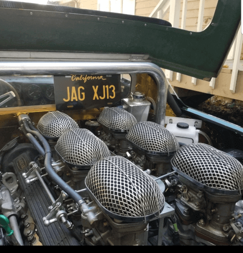 1966 Jaguar XJ13 photo 3