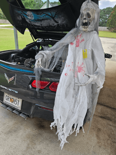 Grey Ghost photo 4