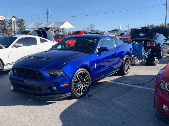 2013 Ford Shelby