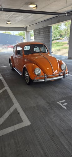1965 VOLKSWAGEN Beetle .