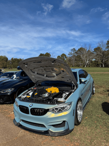 2015 BMW M4 photo 2