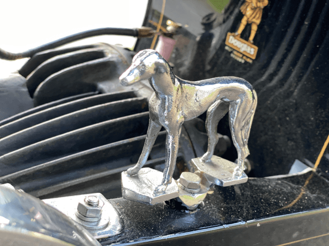 Greyhound photo 3