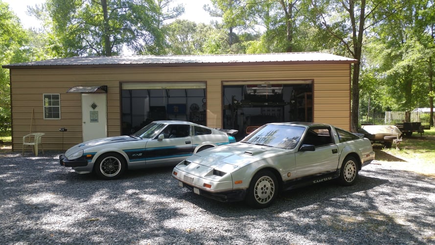 Z31