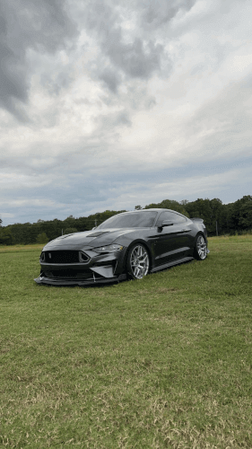 2019 Ford Mustang photo 2