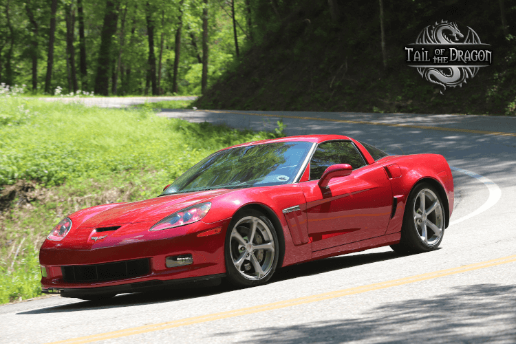 Owner photo 5