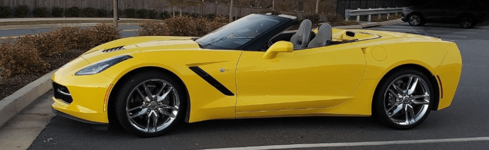 Bumble Bee