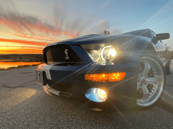 Shelby photo 3