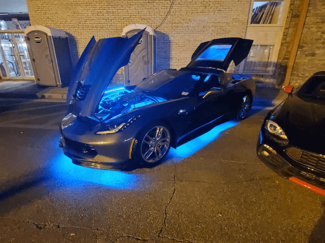 Grey Ghost photo 2